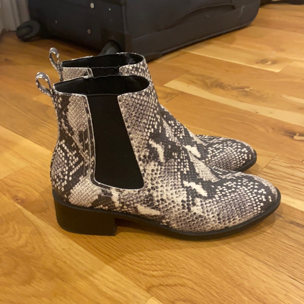 Steve Madden snakeskin low rise booties